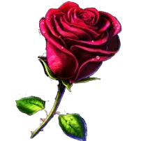 Rose Symbol